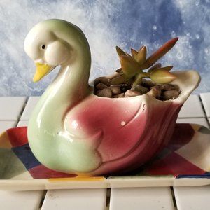 Beautiful Duck / Swan Planter With Succulent